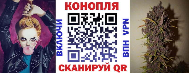 Где купить наркоту Новомичуринск Метадон  Гашиш  Бошки Шишки 