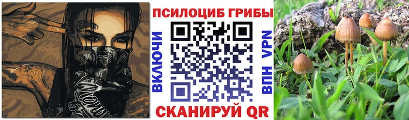 Галлюциногенные грибы мухоморы  мориарти формула  Новомичуринск 